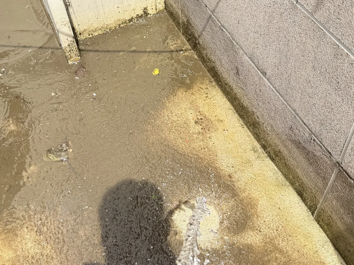 노원구 상계8동 배관 관리실·기계실 위생청소 사례 - 행진크린